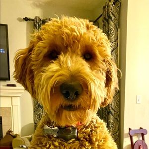 Meet your Posher, Stacey